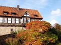 Burg Blomberg