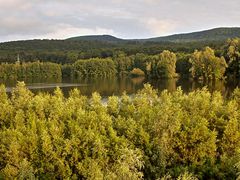 Schiedersee
