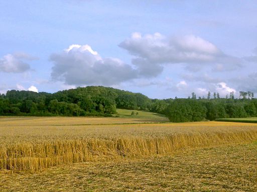 Niesetal