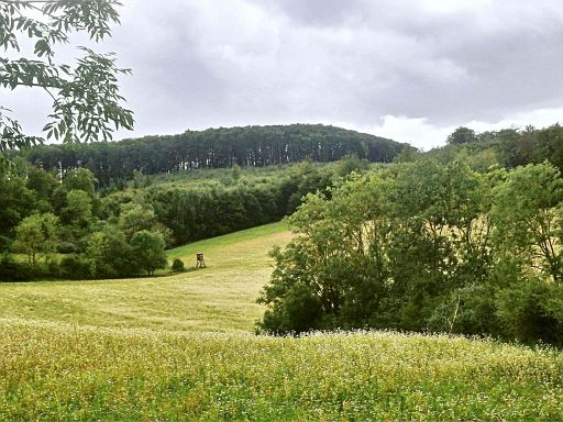 Elkenberg