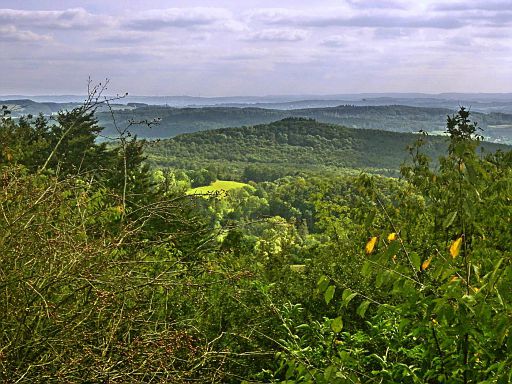 Blick vom Steinberg
