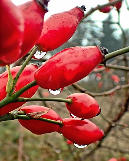 Im Regen