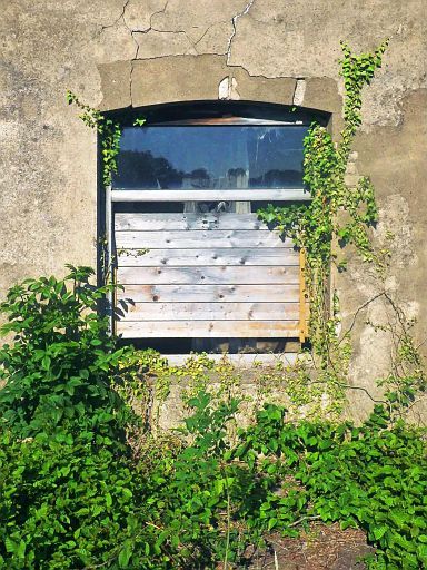 Fenster