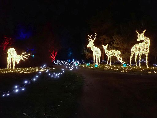 Kurpark Lichterfest