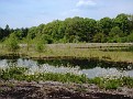 Drents natuurschoon