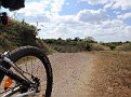 Dutch prairie :-)