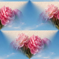 Floral26