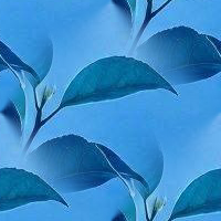 Blue15