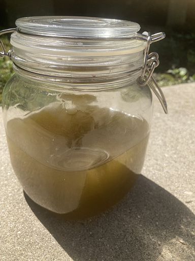 Oil SproutedFenugreekRosemaryGreenTeaCloveInCoffee B