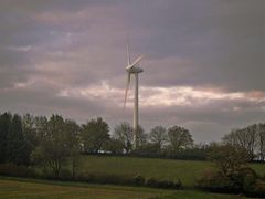 Herbstwindernte