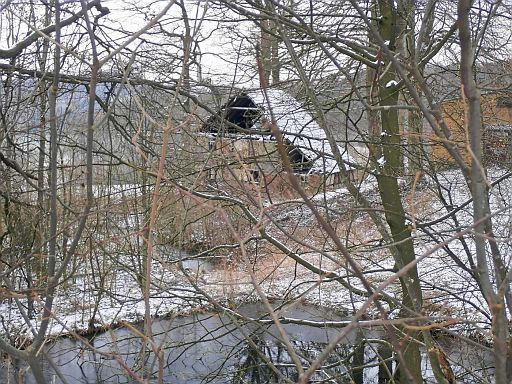 Fischteich und Hofgebäude